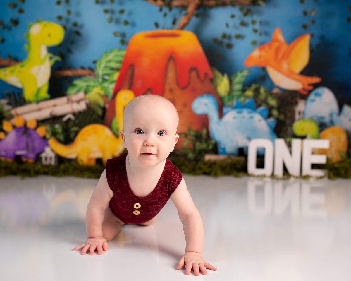Cakesmash photography by Desert Rose Prints
