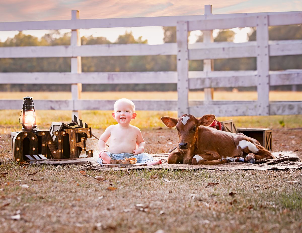 Cakesmash photography by Desert Rose Prints