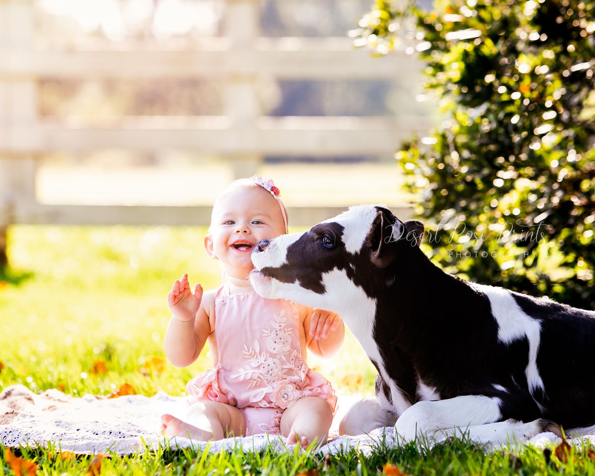 Milestones photography by Desert Rose Prints