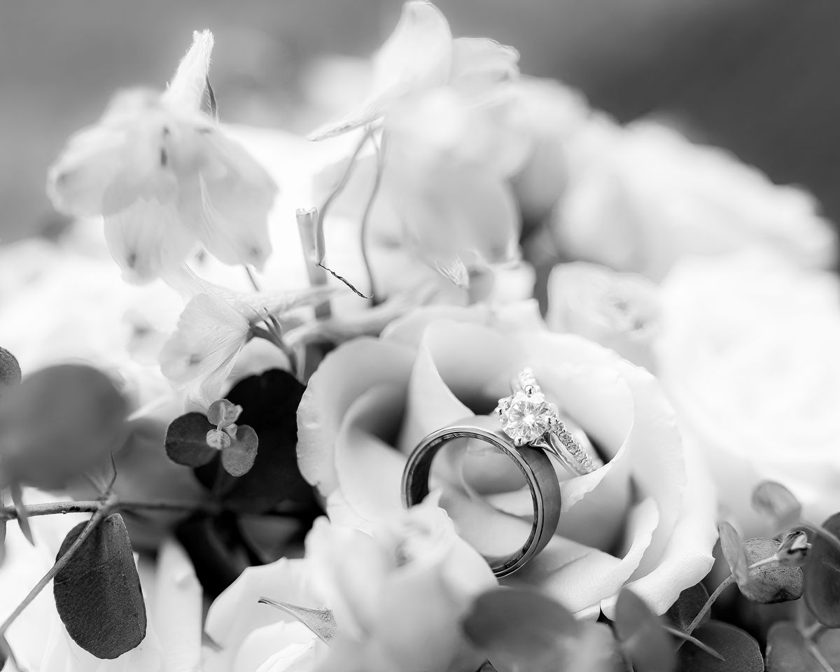 Weddings+Engagements photography by Desert Rose Prints