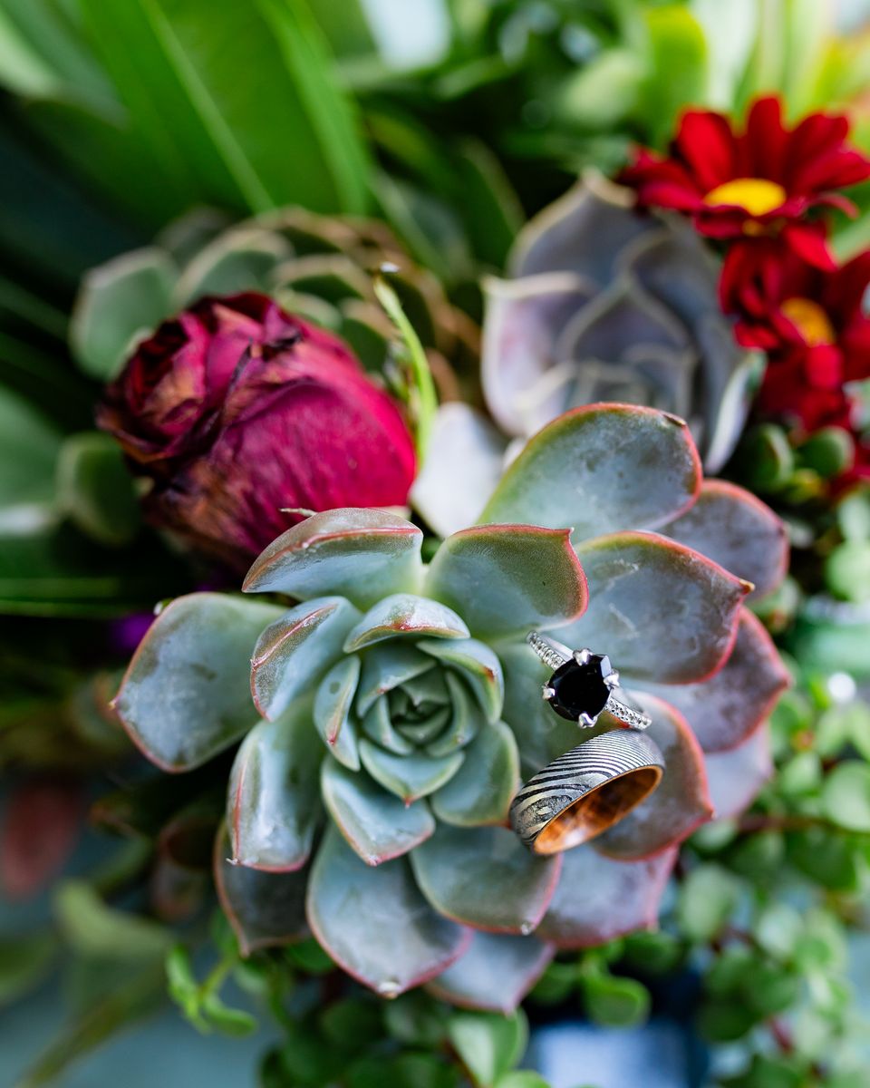 Weddings+Engagements photography by Desert Rose Prints